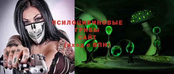 a pvp Инсар