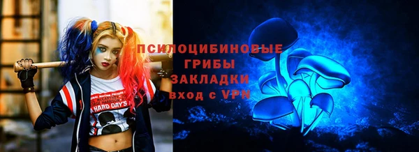 дживик Зерноград