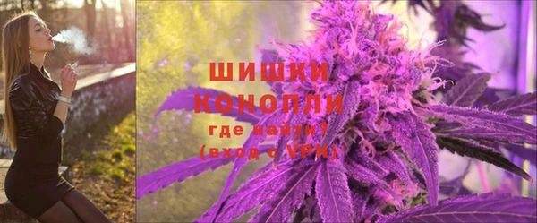 a pvp Инсар