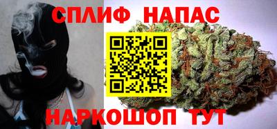 прущие грибы Уссурийск