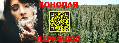 прущие грибы Уссурийск