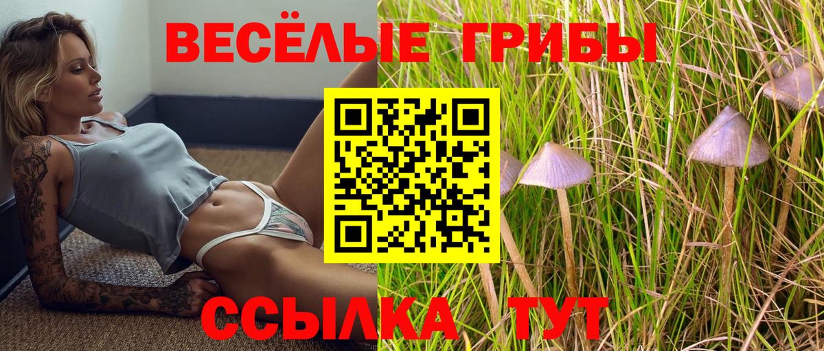 Галлюциногенные грибы Magic Shrooms  Псилоцибиновые грибы прущие грибы  Вход с VPN  Рыбинск 